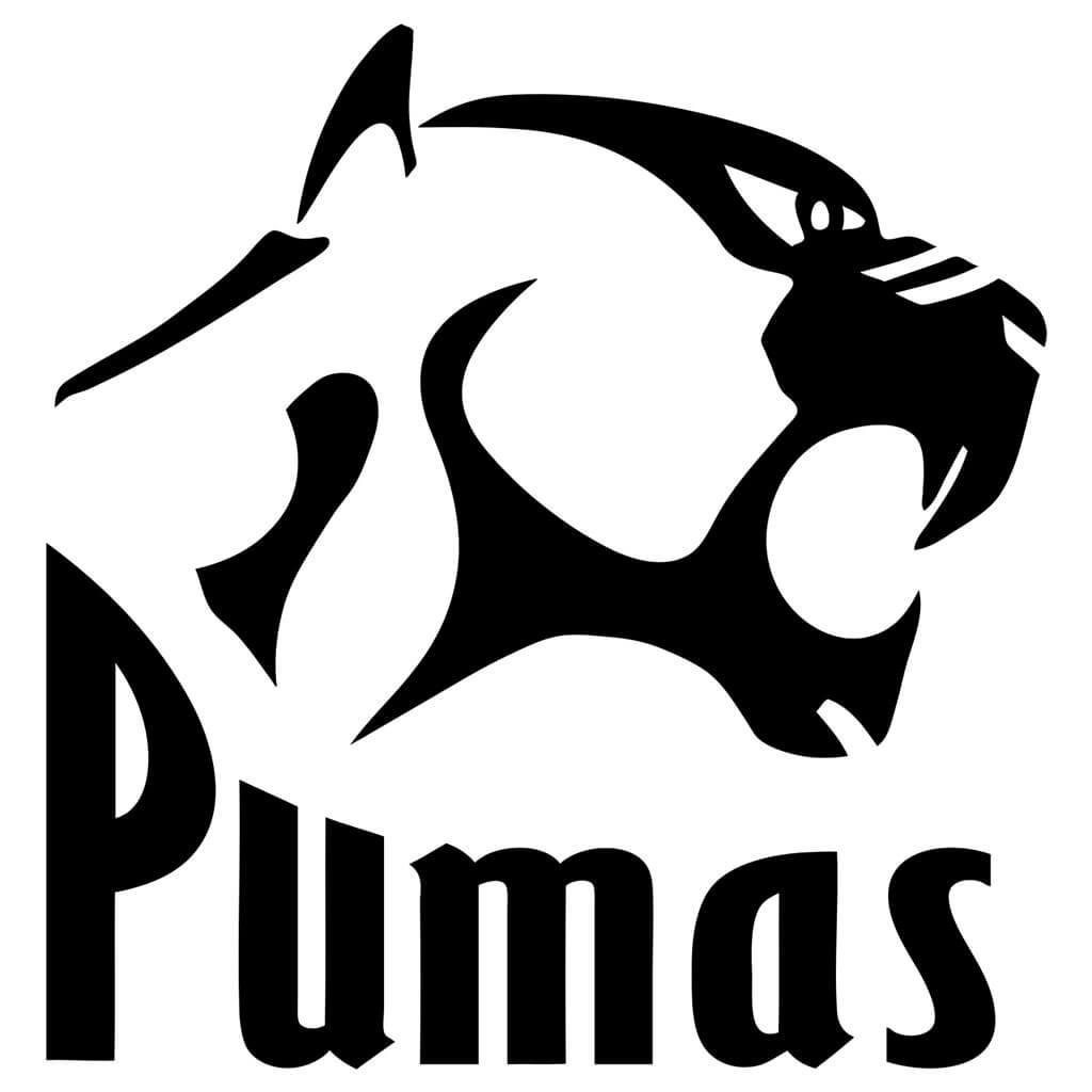 Pumas kies voorlopige spanne vir weke