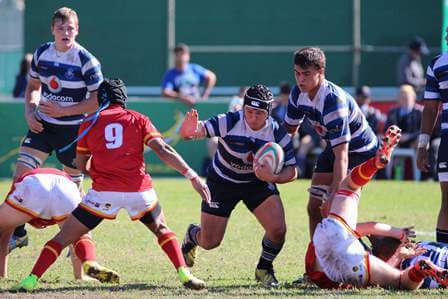 Boishaai weer onoorwonne en Grey glip in doodsnikke verby Paul Roos
