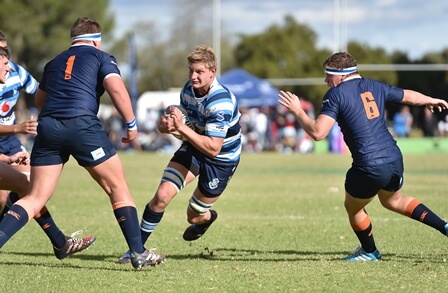 Boishaai te goed vir Grey