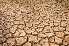 Wynberg Festival cancelled due to drought