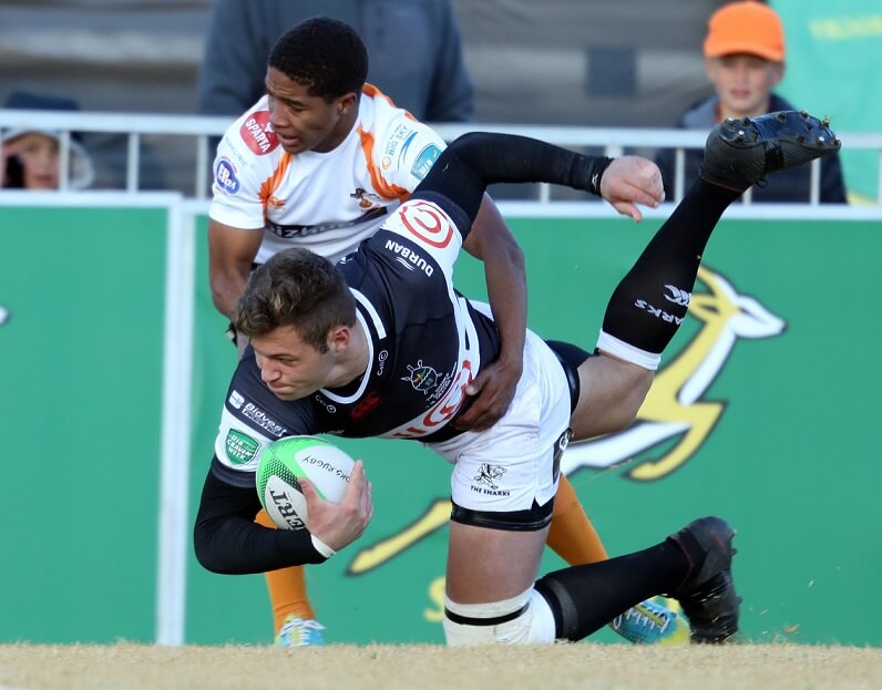 NewsGFreeStateSharks