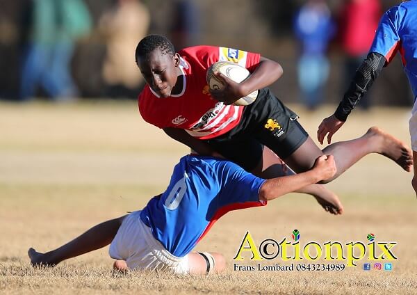 Golden Lions on top against Blue Bulls on Day 1 of Academy Week