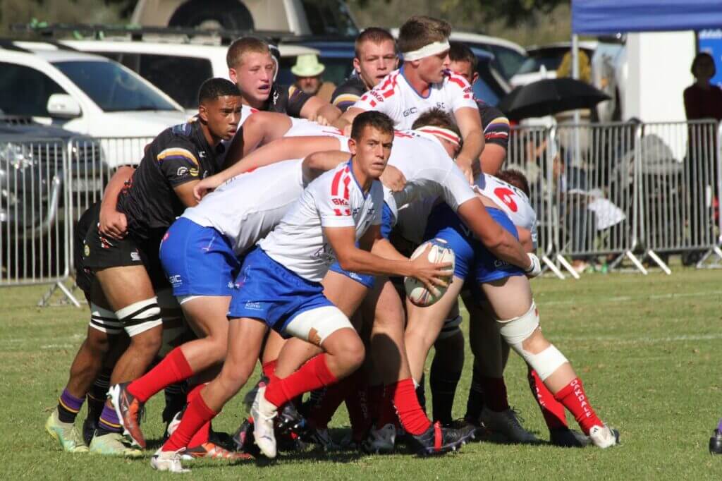Oakdale Bulle gaffel Kwaggas op die plaas
