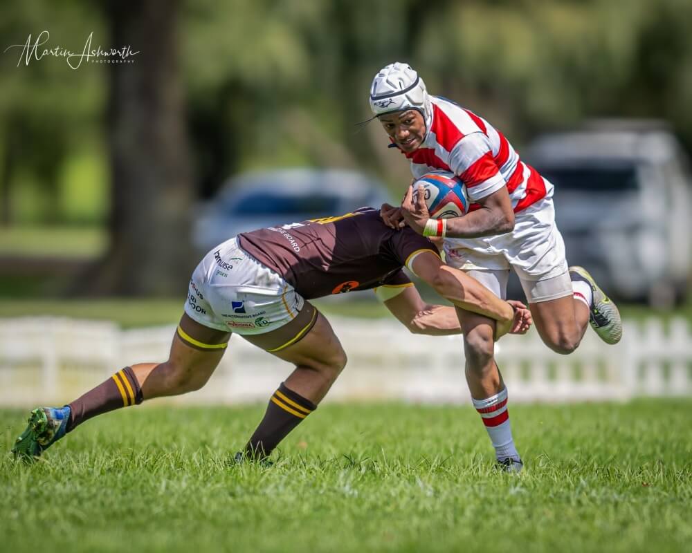Hilton and Michaelhouse return to Standard Bank Grey High Festival