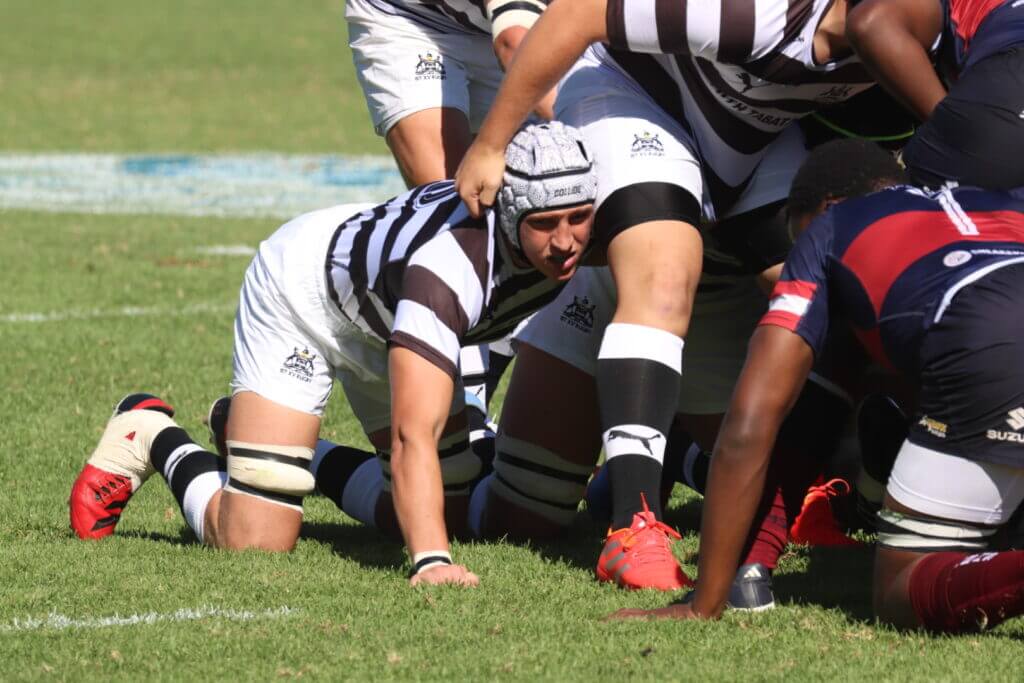 All set for a Selborne vs Pearson pearler
