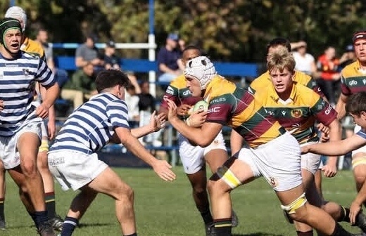 Paarl Gim runs riot at SACS
