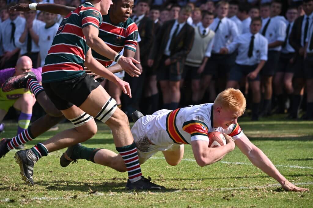 Wit Bulle se horings sal vroeg in 2026 al skerp moet wees