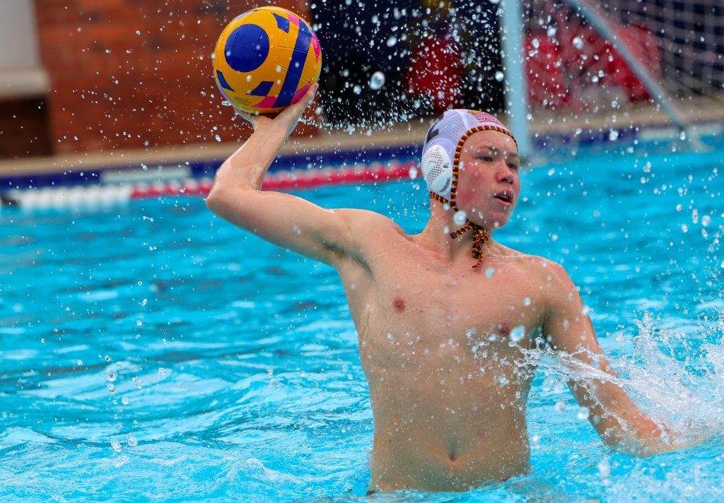 Gauteng on the board as KZN and WP pack a punch