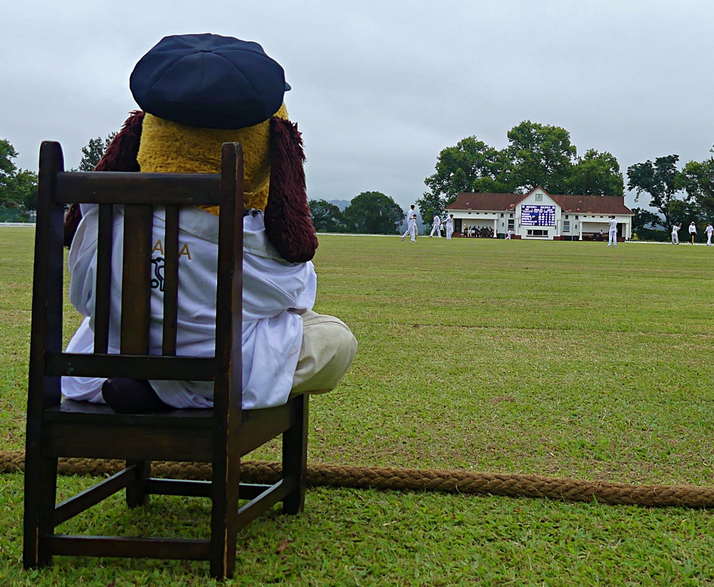 St Charles College pulls off successful run chase in last over
